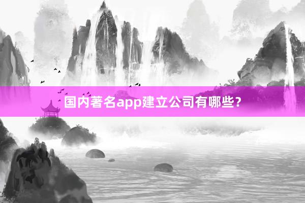 国内著名app建立公司有哪些？