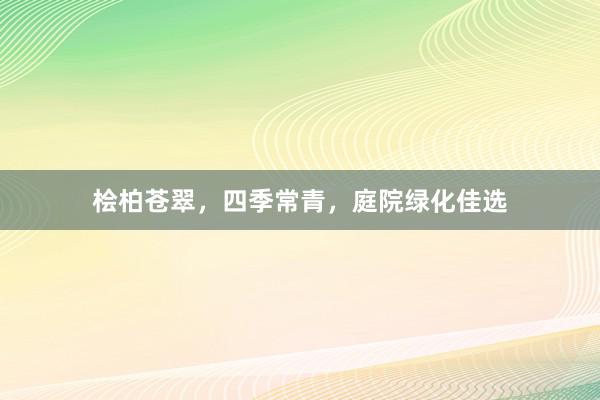 桧柏苍翠，四季常青，庭院绿化佳选