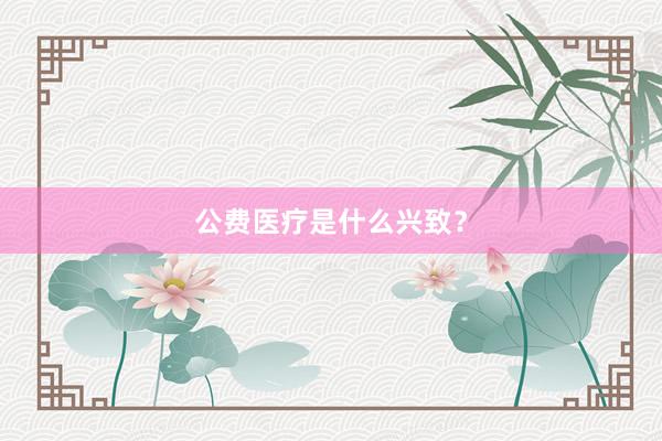 公费医疗是什么兴致？