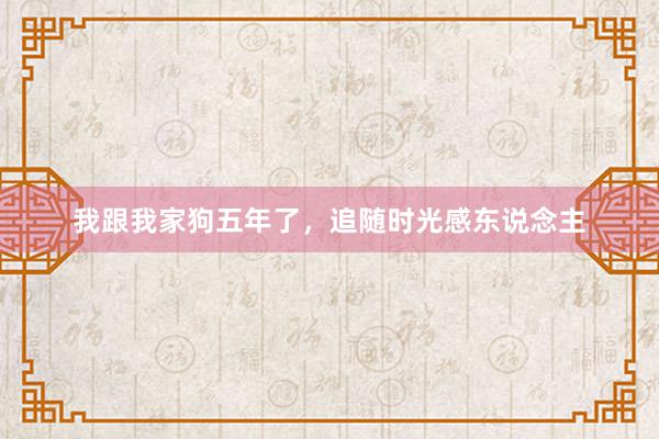 我跟我家狗五年了，追随时光感东说念主