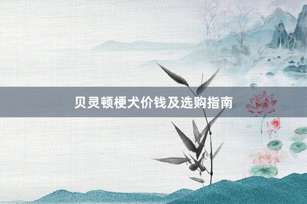 贝灵顿梗犬价钱及选购指南