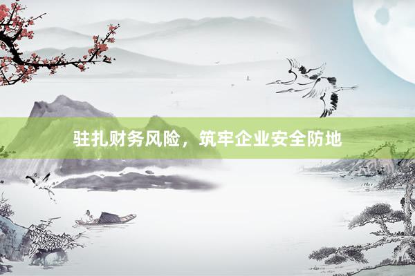 驻扎财务风险，筑牢企业安全防地