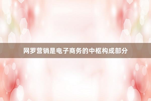 网罗营销是电子商务的中枢构成部分